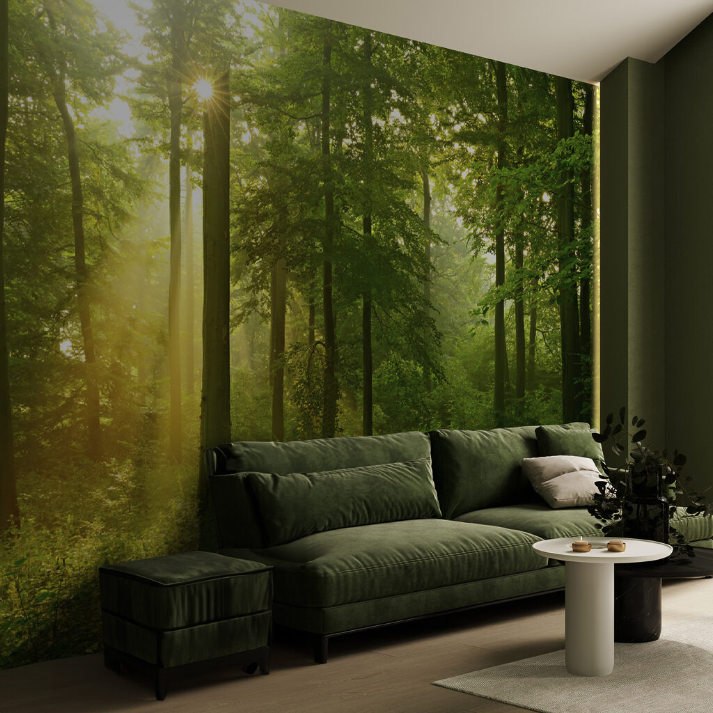 Luce dorata nel bosco — ambiente 5