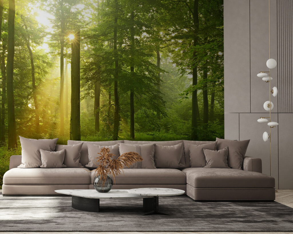 Luce dorata nel bosco — ambiente 2