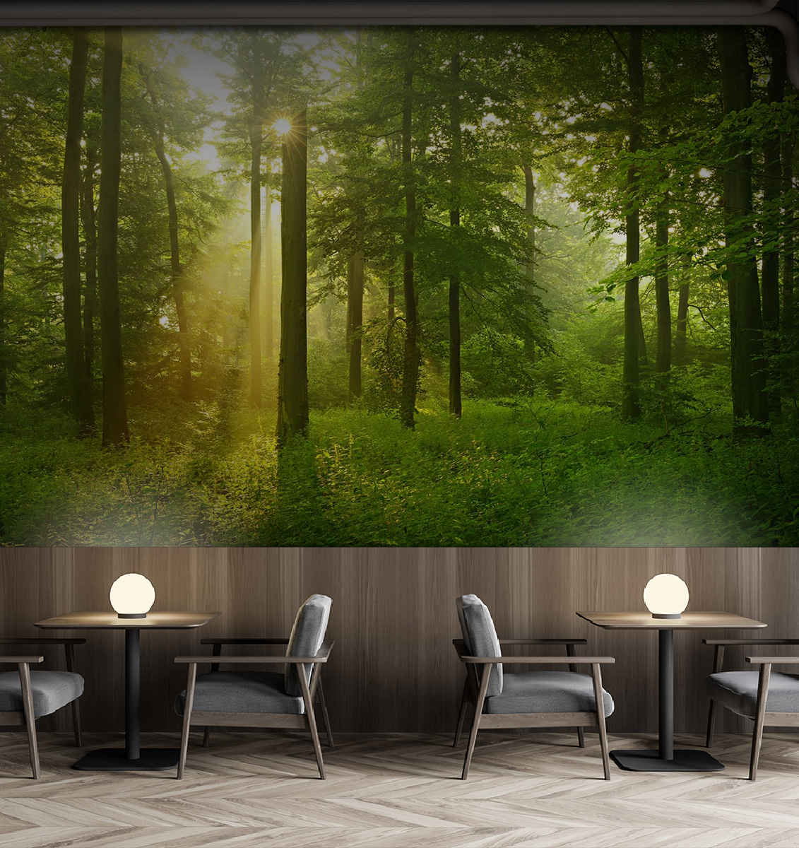 Luce dorata nel bosco — ambiente 4