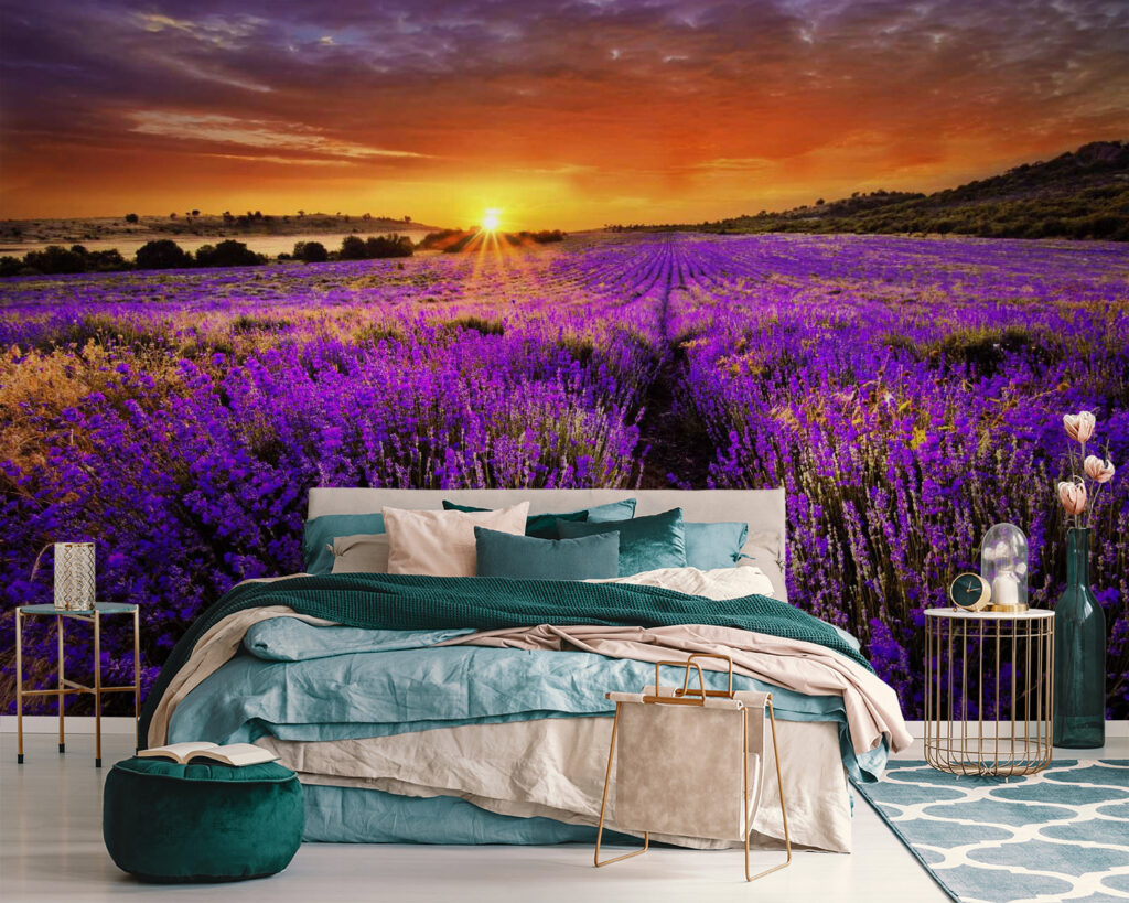 Filari di lavanda — ambiente 3