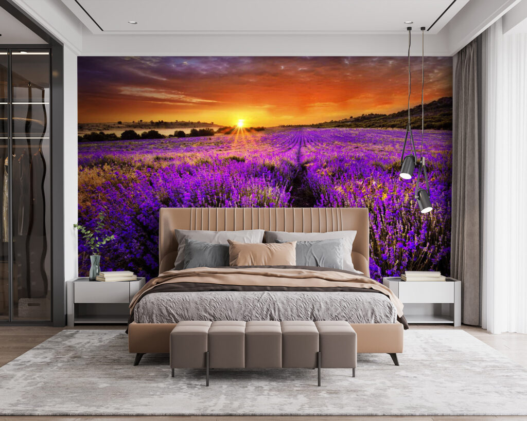 Filari di lavanda — ambiente 4