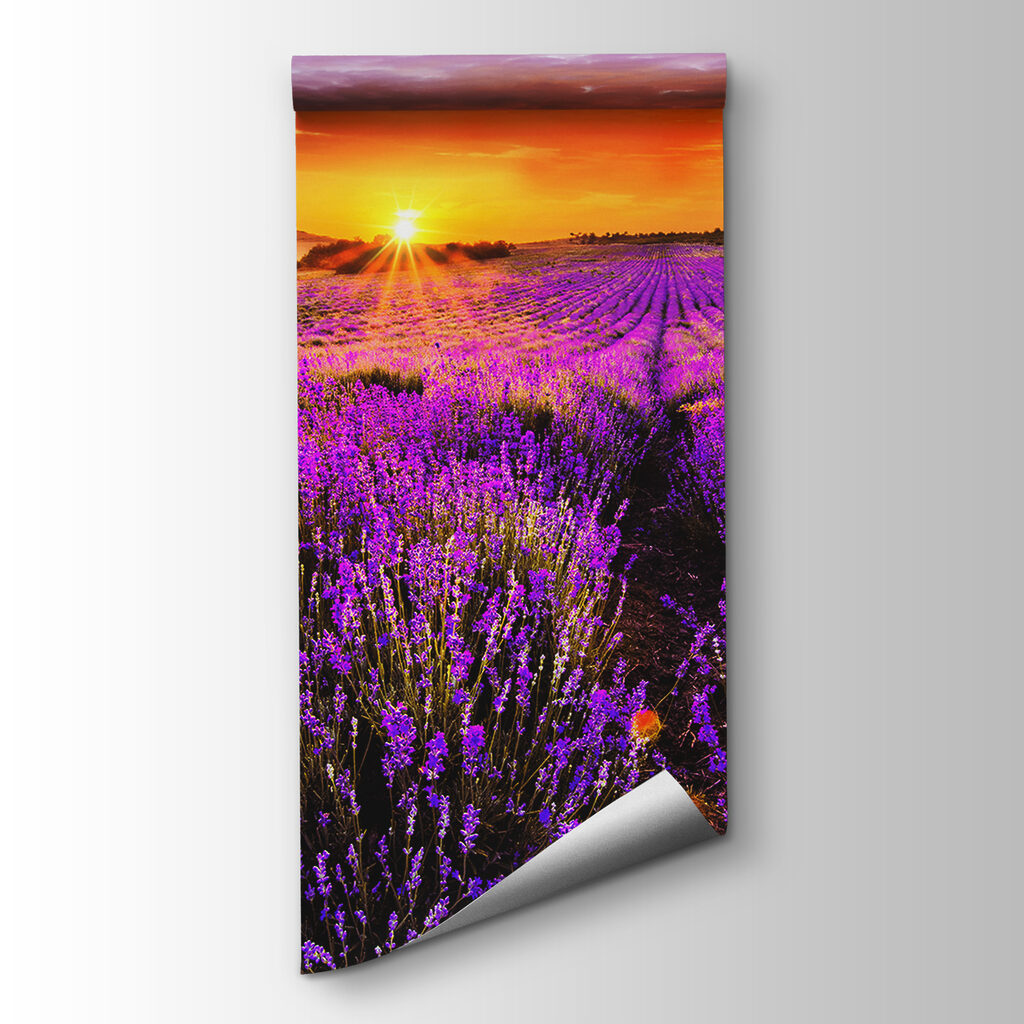 Filari di lavanda — vista del prodotto