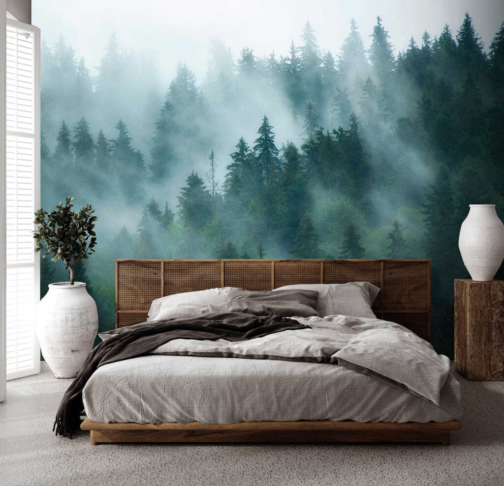 Nebbia tra le conifere — ambiente 3