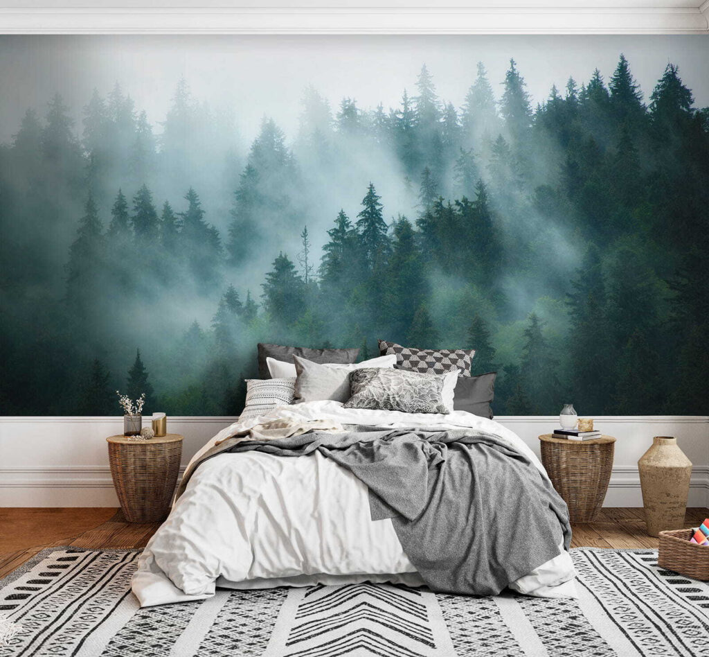 Nebbia tra le conifere — ambiente 4