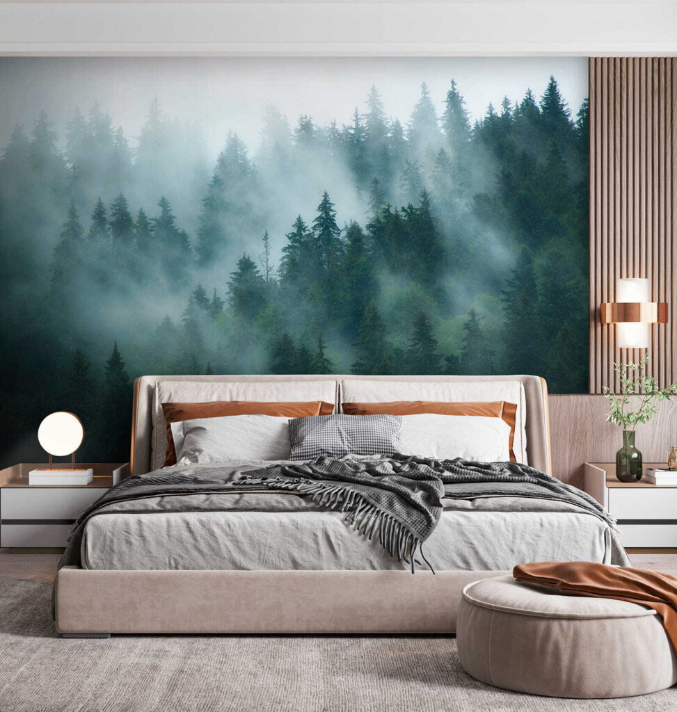 Nebbia tra le conifere — ambiente 5
