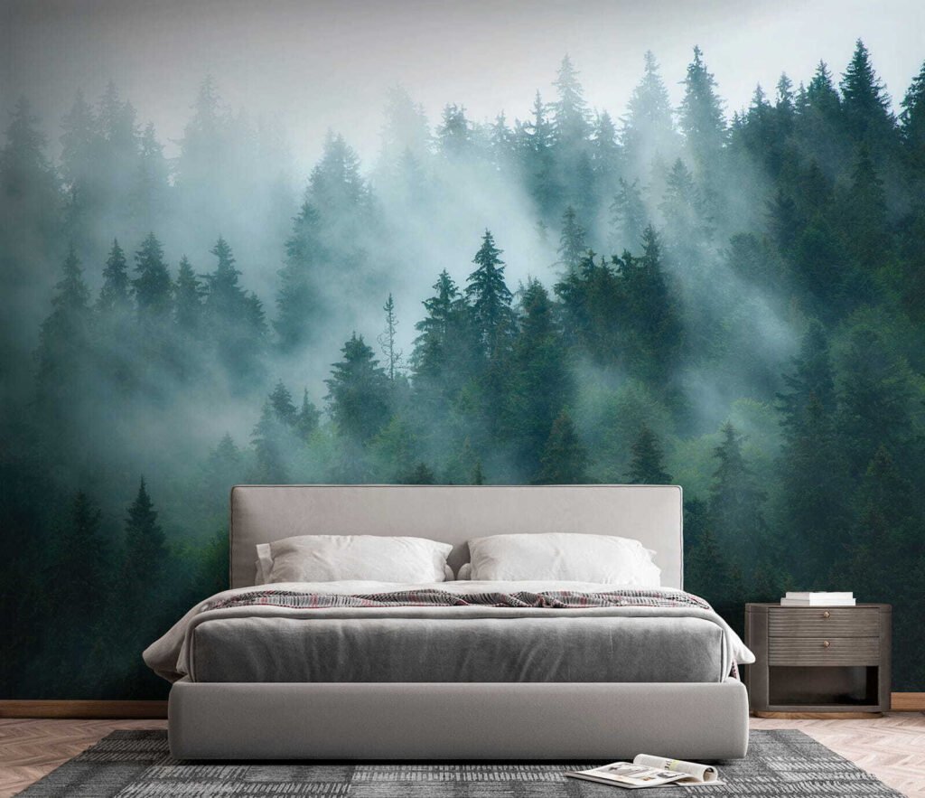 Nebbia tra le conifere — ambiente 6