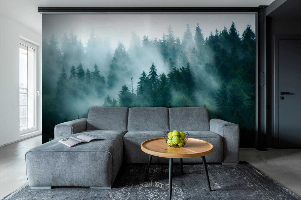 Nebbia tra le conifere in un ambiente