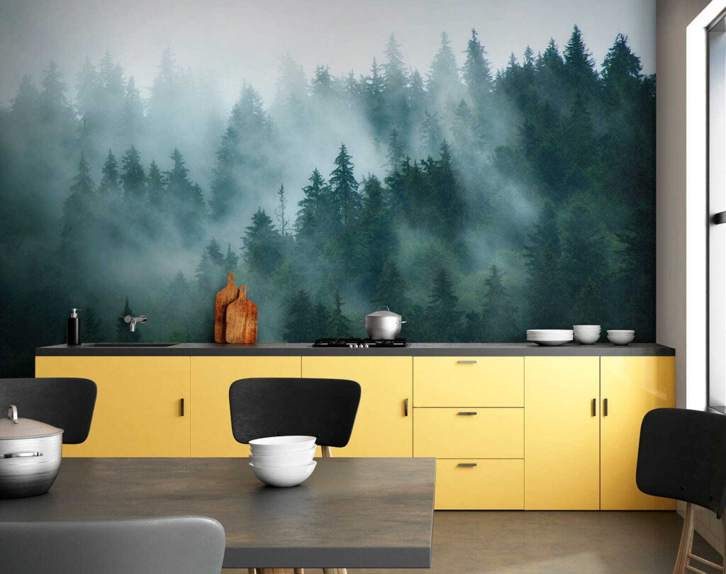Nebbia tra le conifere — ambiente 7
