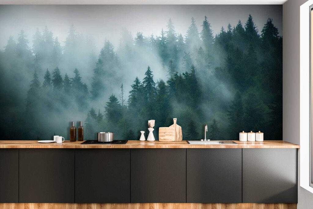Nebbia tra le conifere — ambiente 9