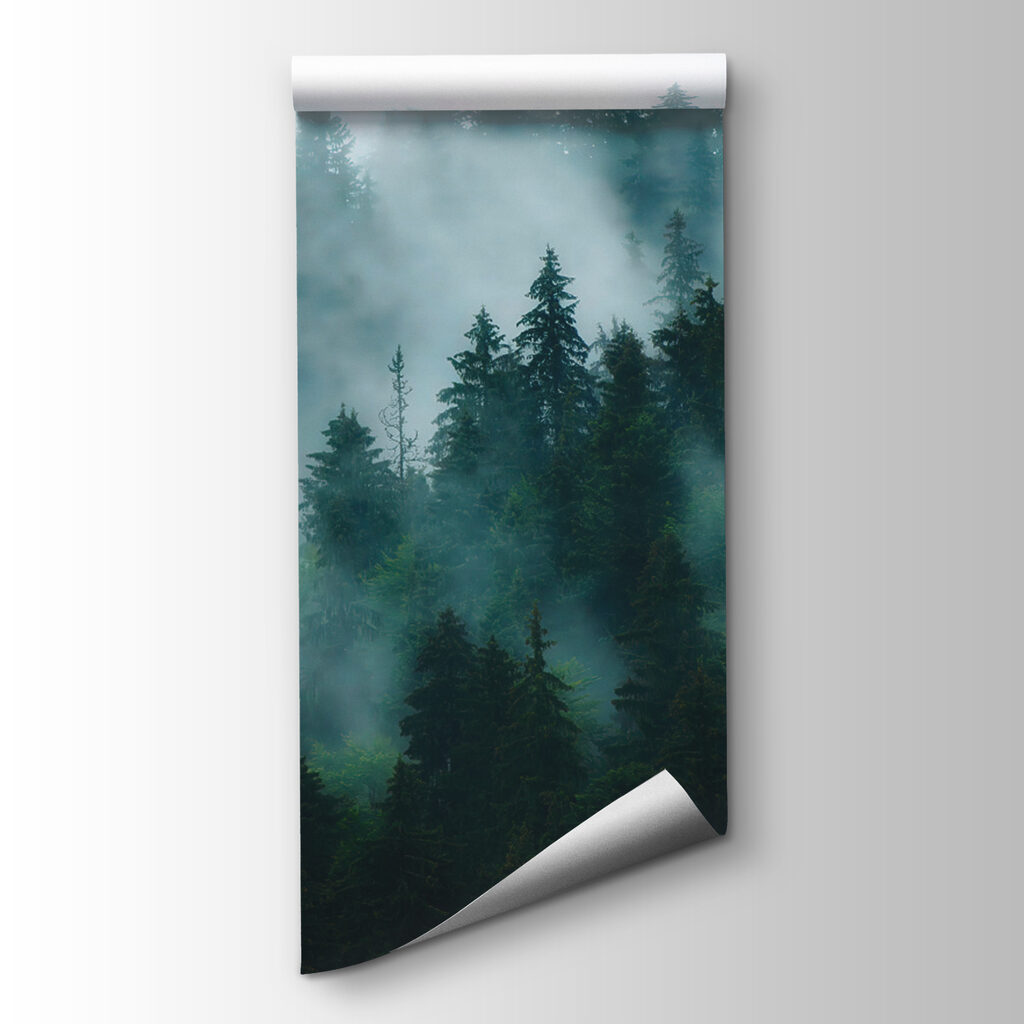 Nebbia tra le conifere — vista del prodotto