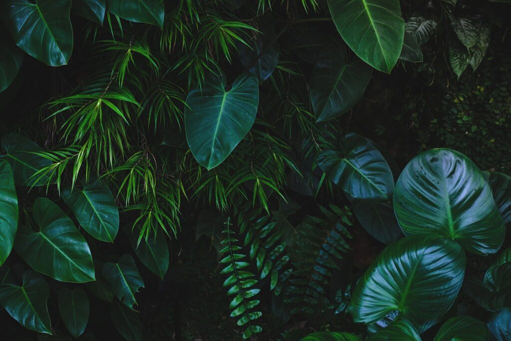 Foglie in verde profondo — design completo