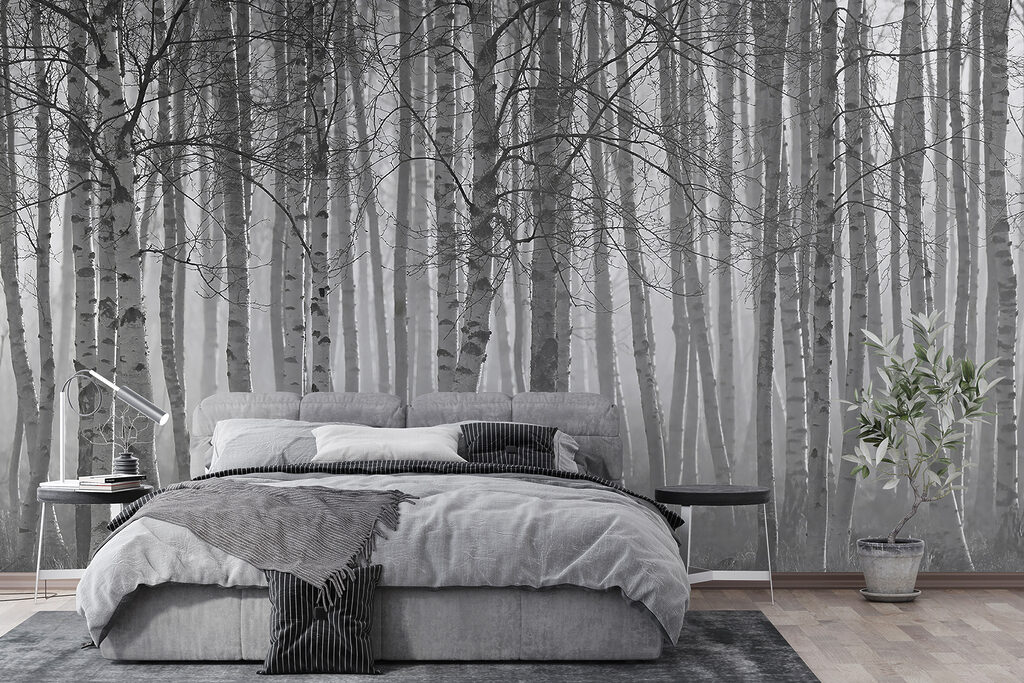 Betulle in bianconero — ambiente 4