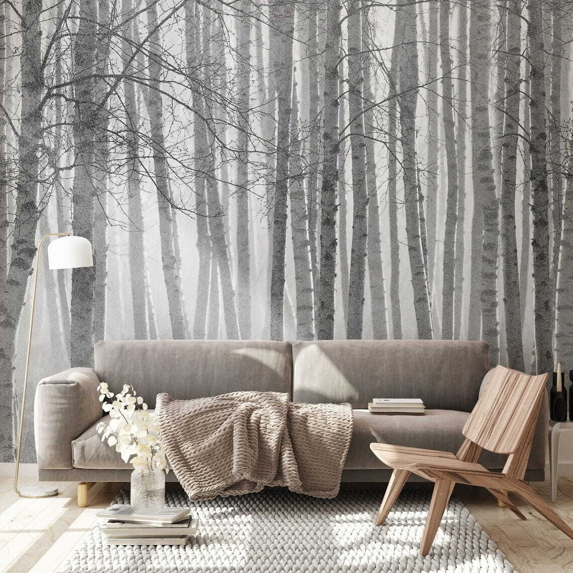 Betulle in bianconero — ambiente 3