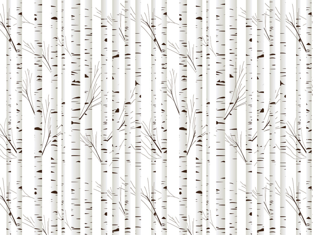 Betulle bianche disegnate — design completo