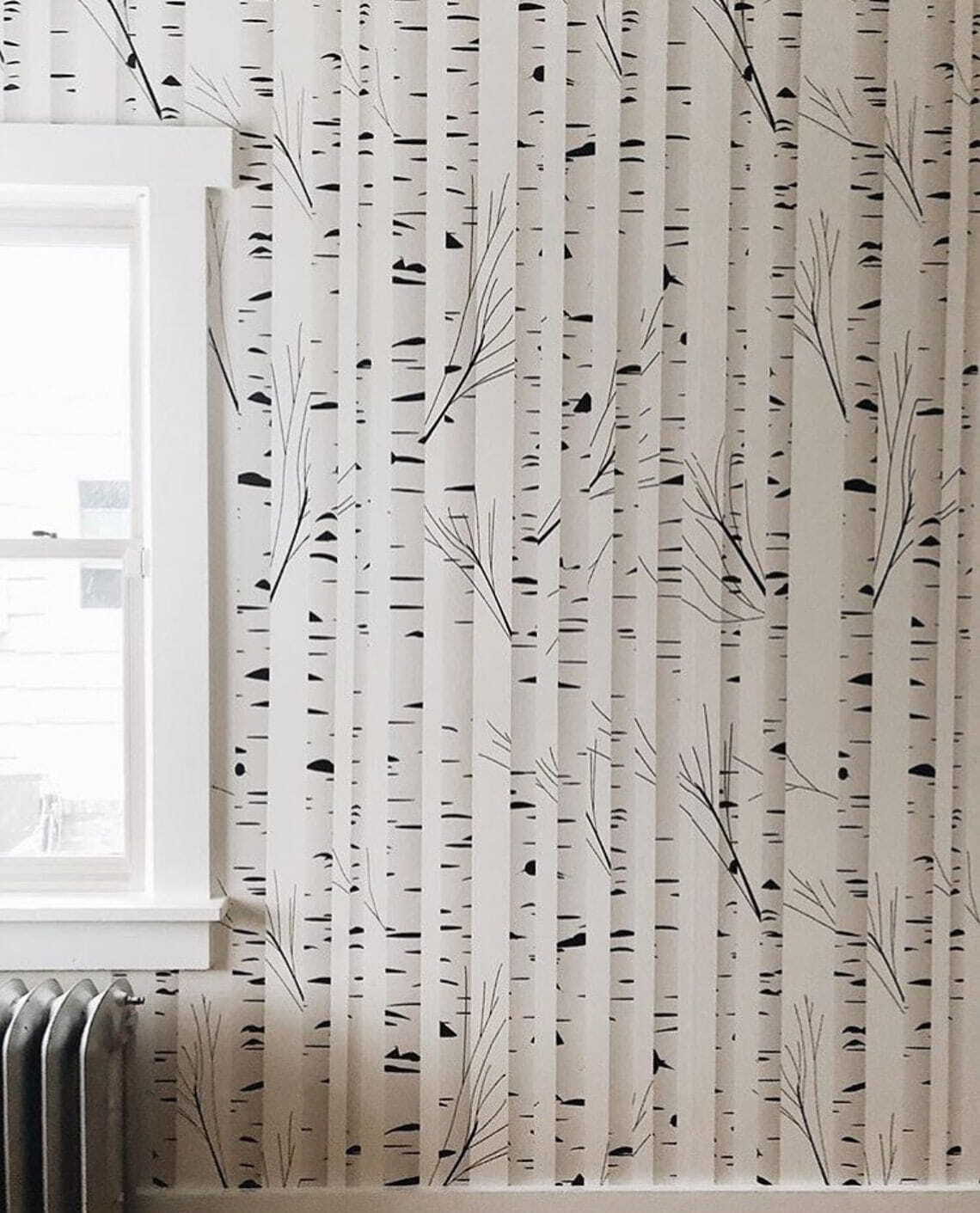 Betulle bianche disegnate — ambiente 2