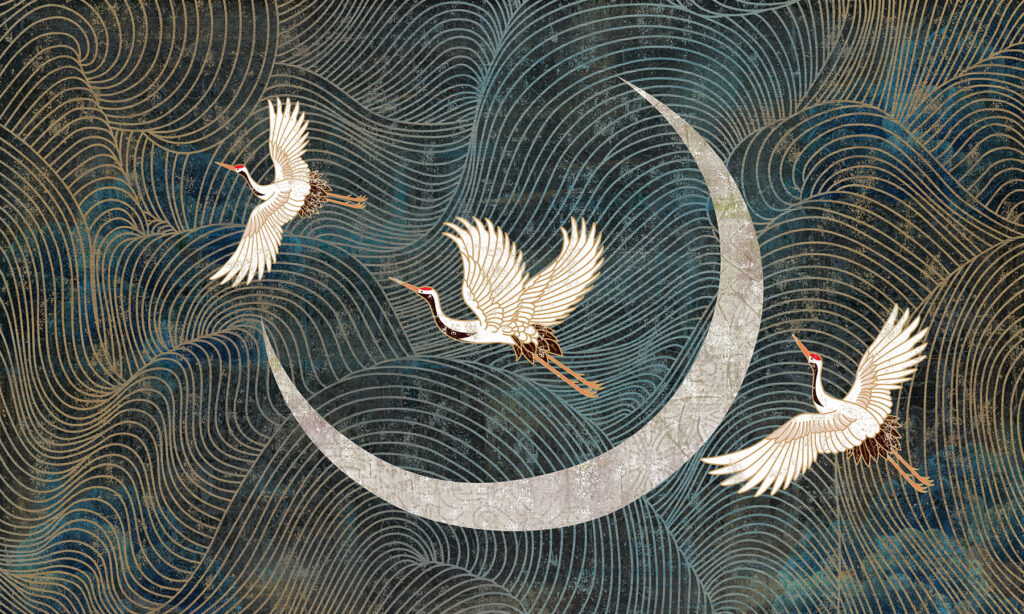 Gru intorno alla luna — design completo
