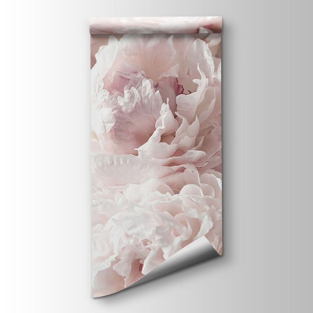 Peonie rosa chiaro fitte — vista del prodotto