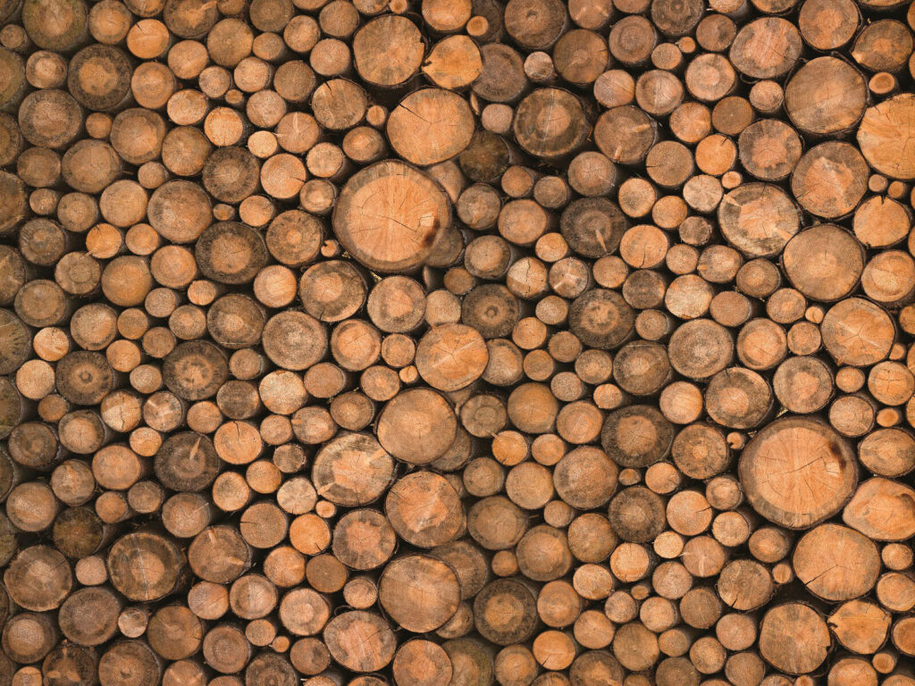 Dischi di legno ravvicinati — design completo