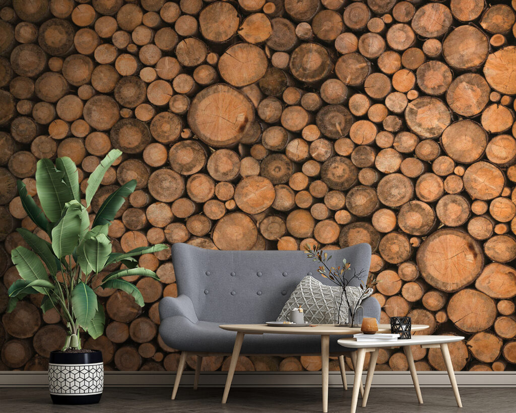 Dischi di legno ravvicinati — ambiente 1