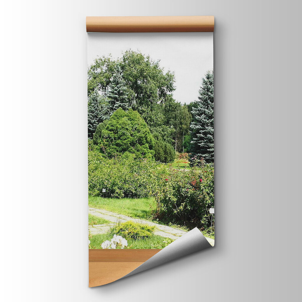 Finestra sul giardino estivo — vista del prodotto