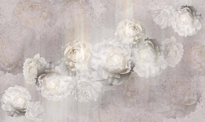 Rose pallide su grigio — design completo