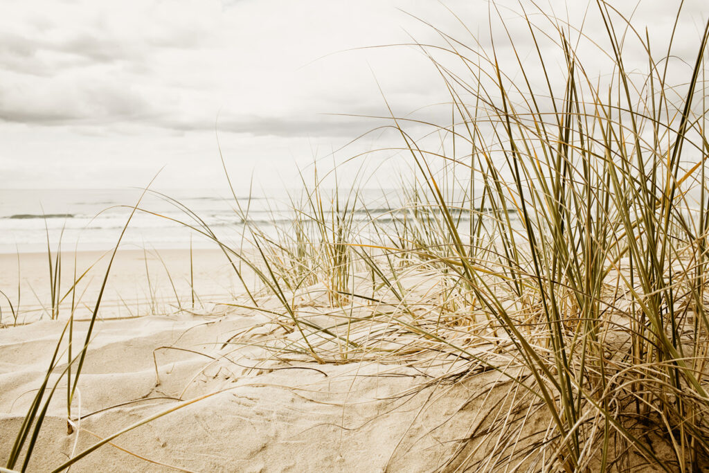 Dune e mare calmo — design completo
