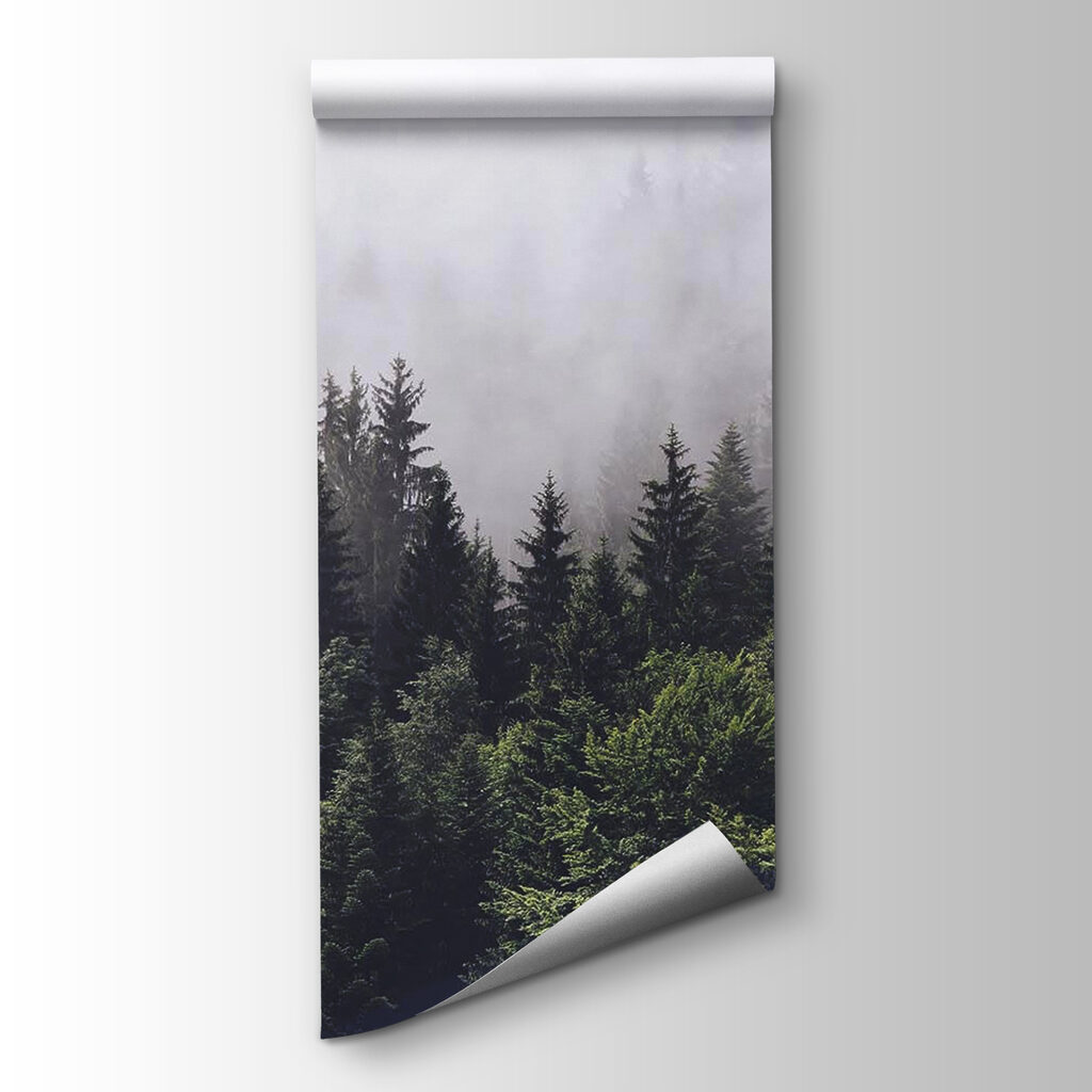 Nebbia sopra il bosco — vista del prodotto