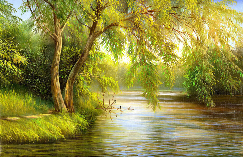 Salici sopra il fiume — design completo