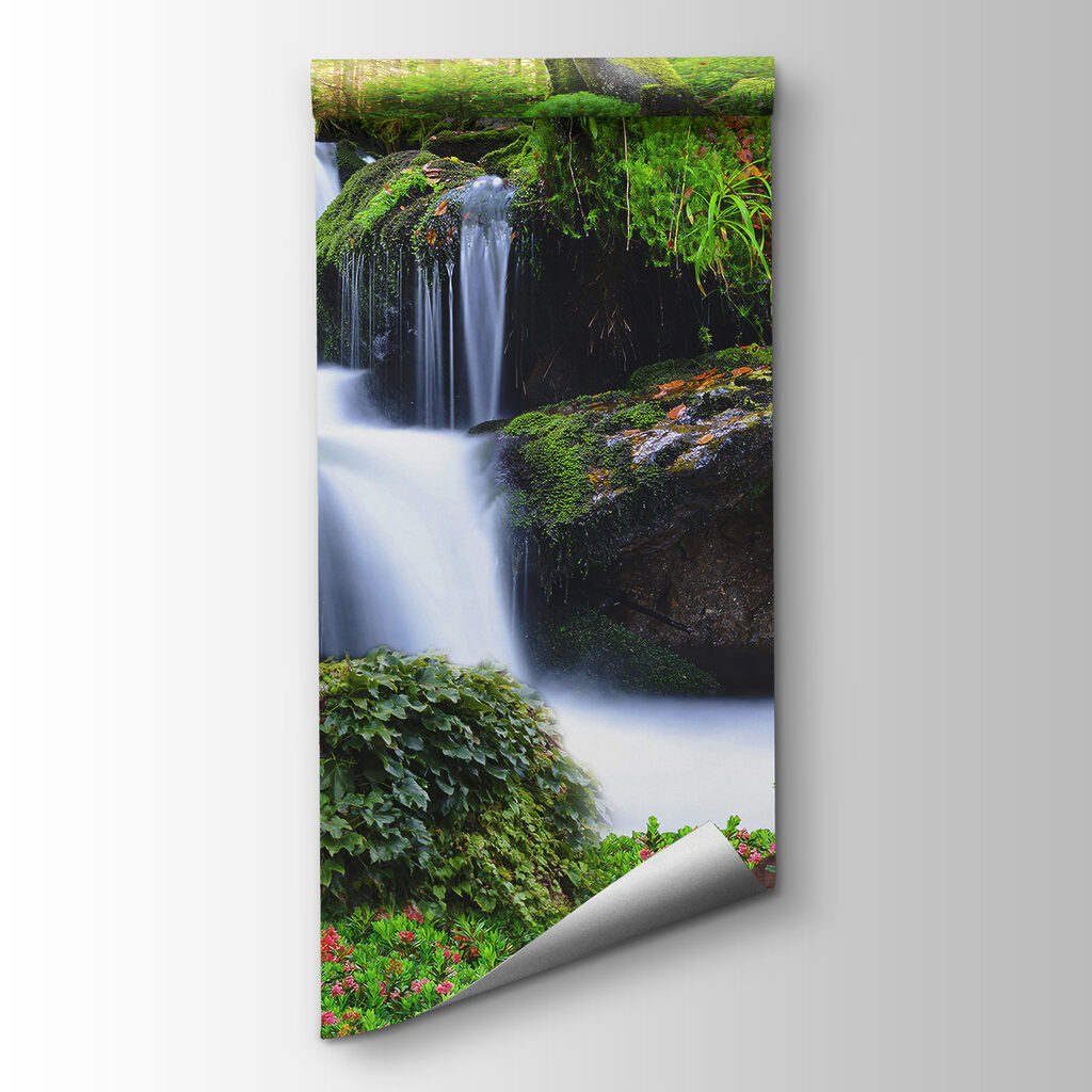 Leone presso la cascata — vista del prodotto