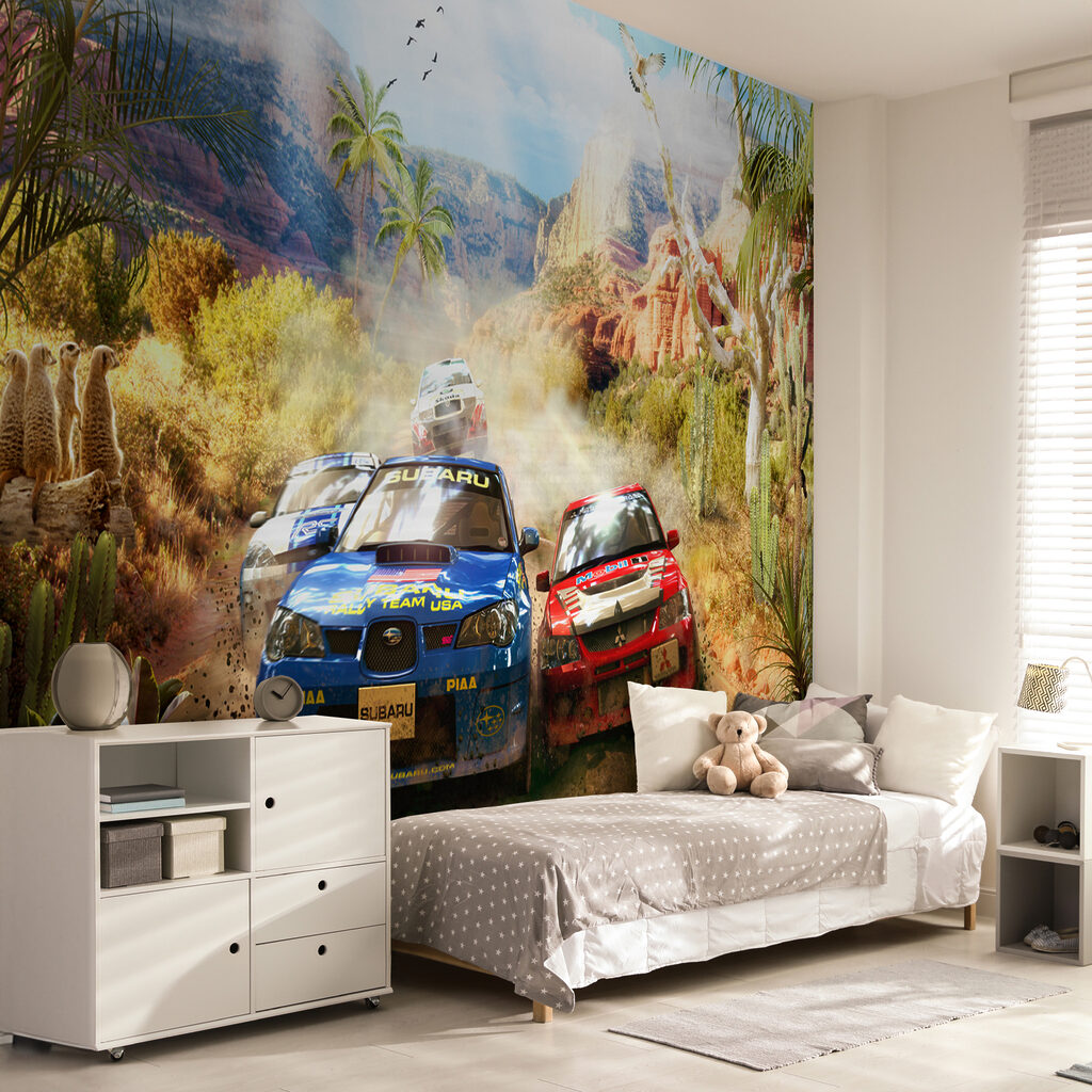 Rally sulla strada polverosa — ambiente 6
