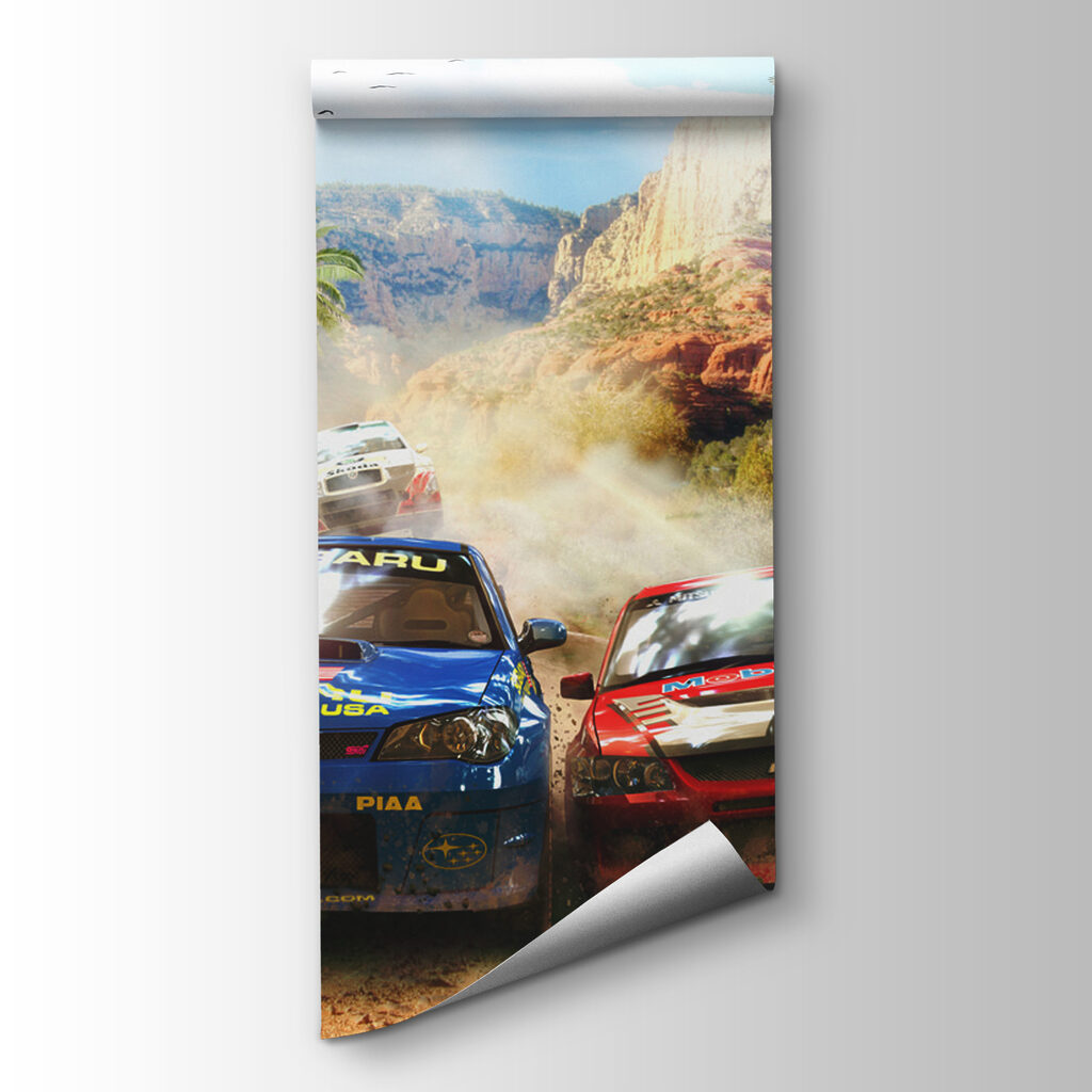 Rally sulla strada polverosa — vista del prodotto