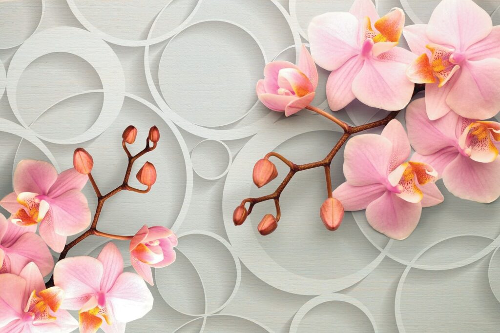 Orchidea rosa tra cerchi — design completo