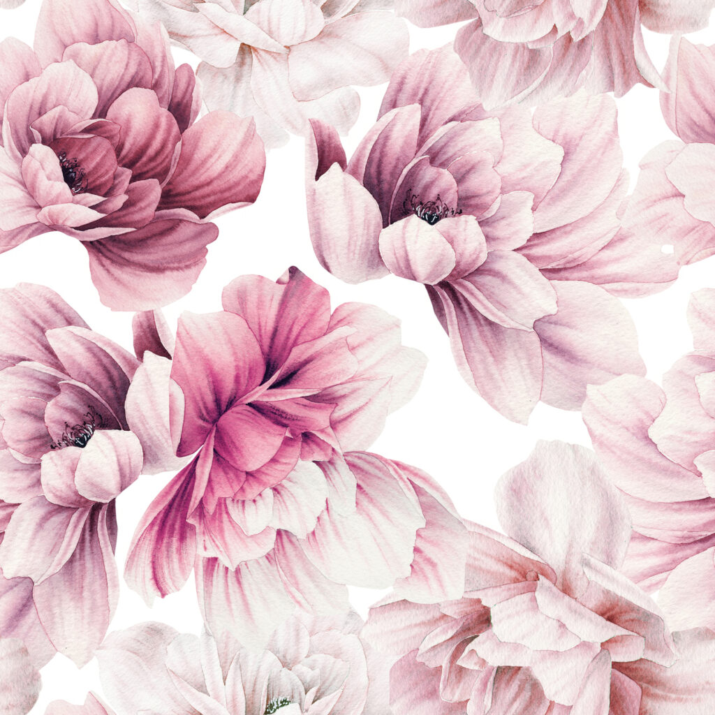 Dalia rosa su bianco — design completo