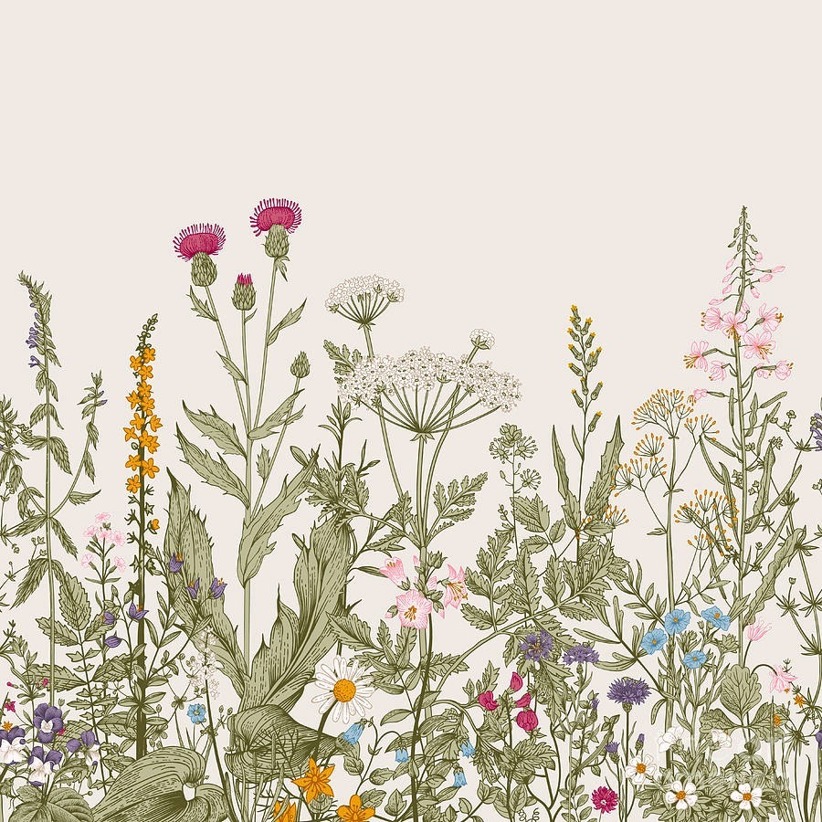 Linee botaniche in basso — design completo