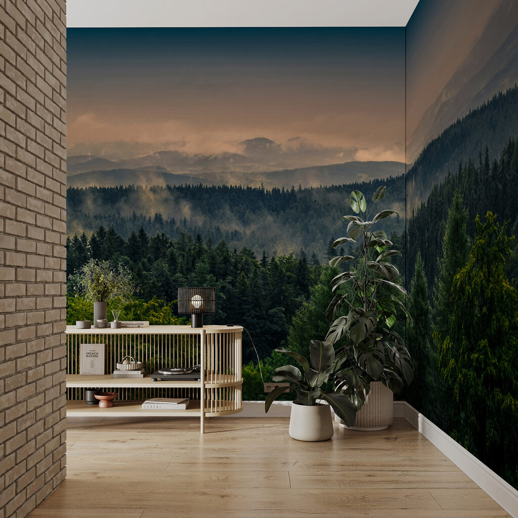 Ultima luce sui pini — ambiente 5