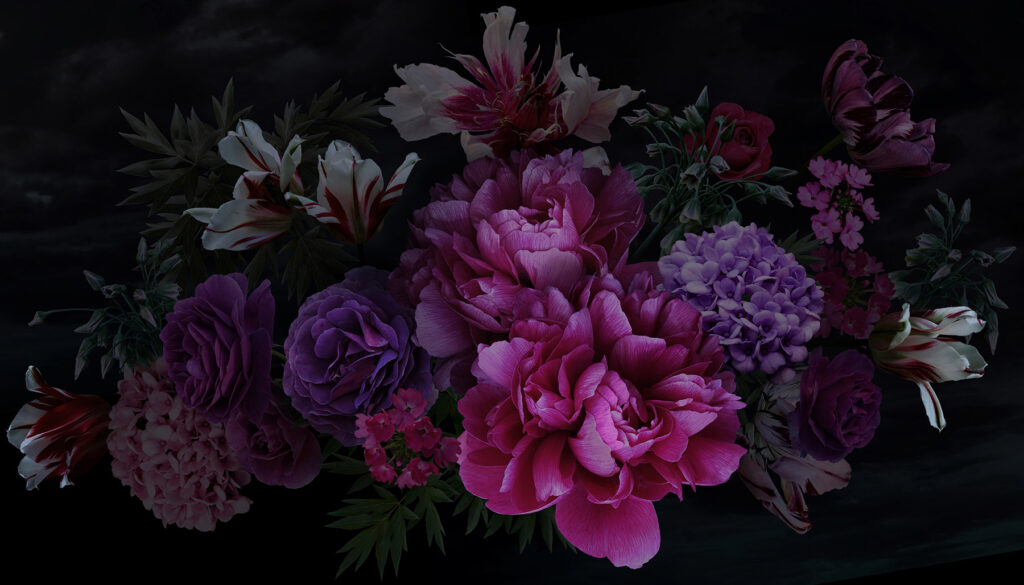 Fiori viola-rossi di notte — design completo