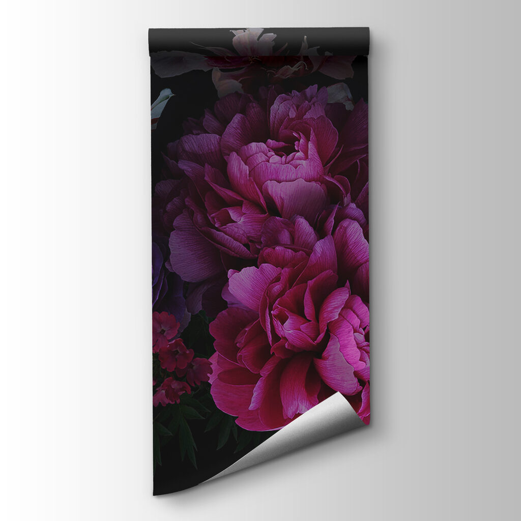 Fiori viola-rossi di notte — vista del prodotto