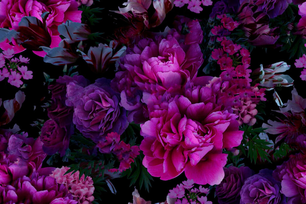 Fiori viola nell’ombra — design completo