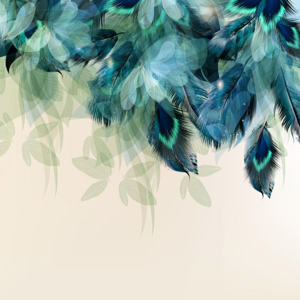Piume di pavone — design completo
