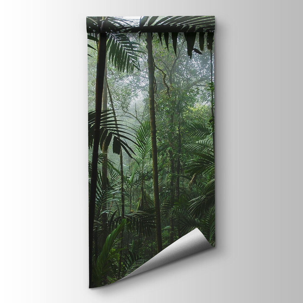 Tra alte palme tropicali — vista del prodotto