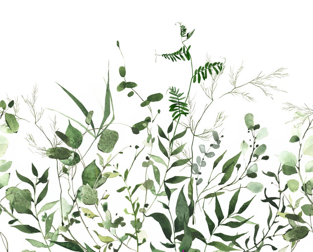 Rametti verdi su bianco — design completo
