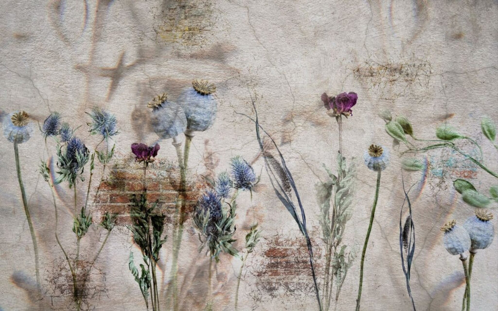 Cardi sul muro — design completo