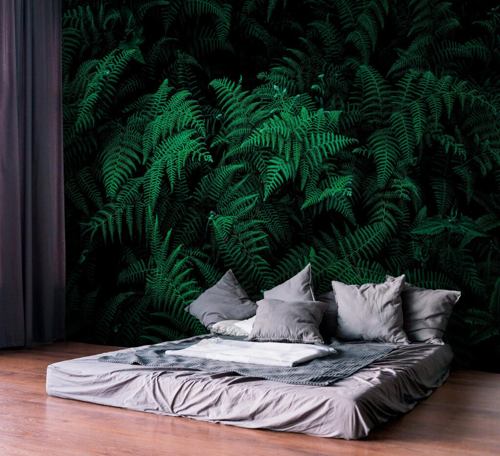 Felci nell’ombra — ambiente 2