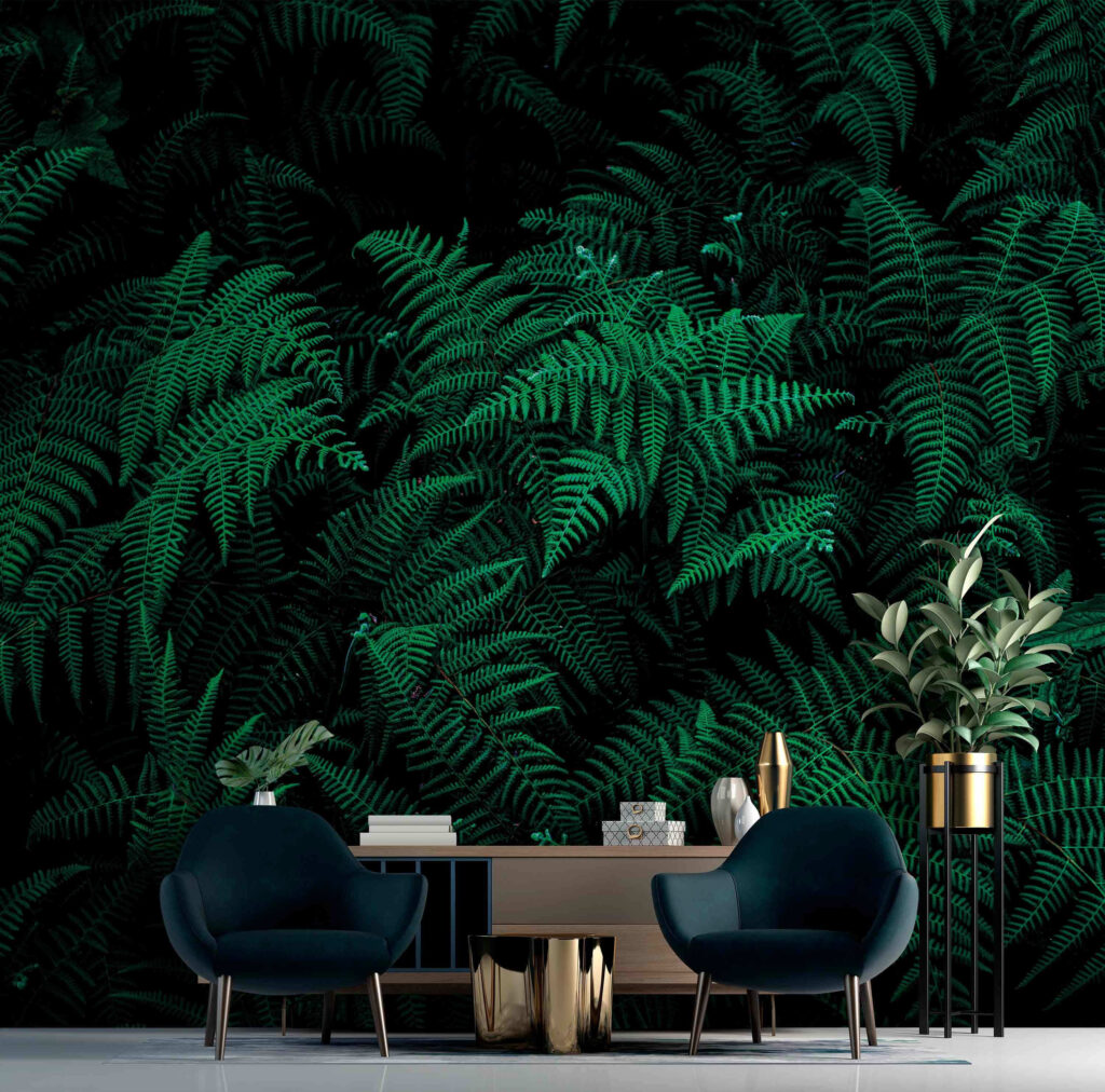 Felci nell’ombra — ambiente 1