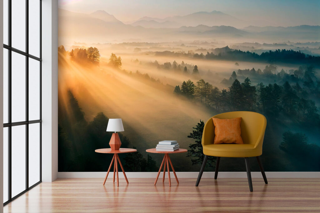 Luce radente sul bosco — ambiente 2