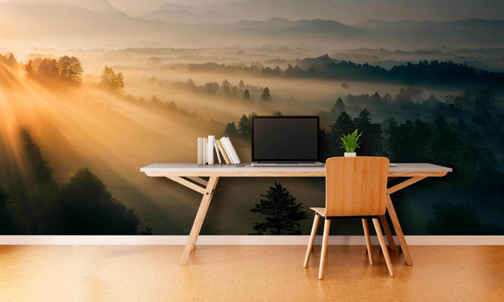Luce radente sul bosco — ambiente 3