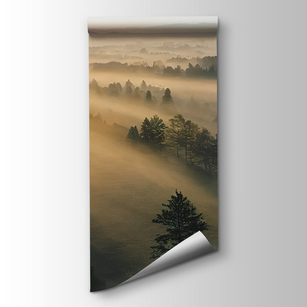 Luce radente sul bosco — vista del prodotto