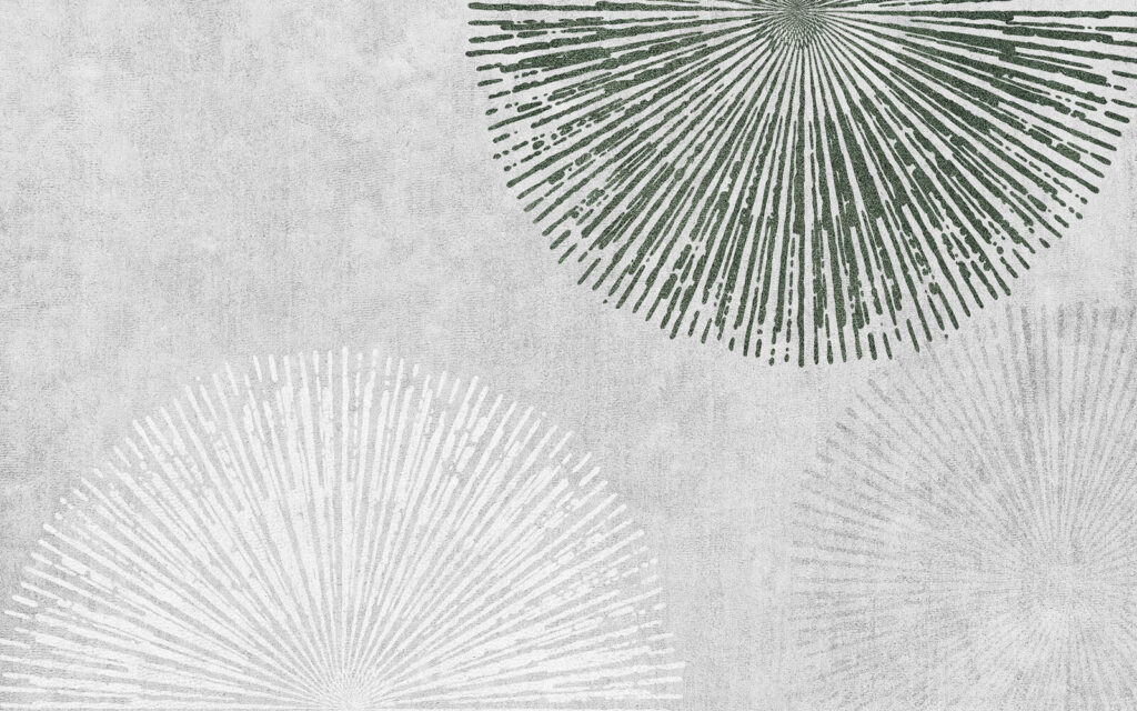 Cerchi di sottili raggi — design completo