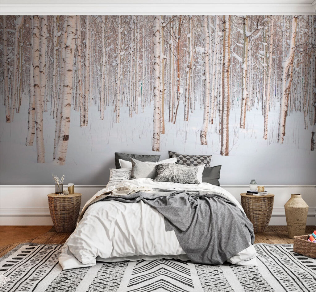 Betulle nella neve — ambiente 1
