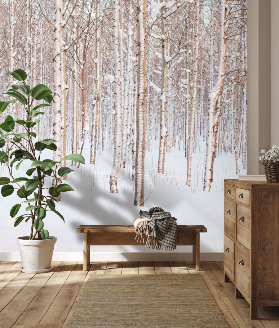 Betulle nella neve — ambiente 2